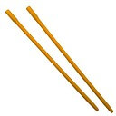 デンサン(DENSAN) 照明一発ガイド SIG-400のイメージ画像です。